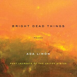 bright dead things